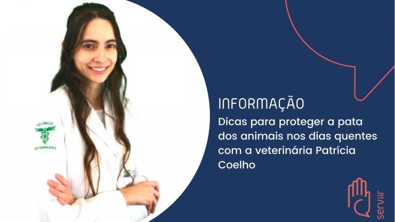 Leia mais sobre o artigo Dicas para proteger as patas dos animais nos dias quentes